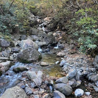 沢があるということは…