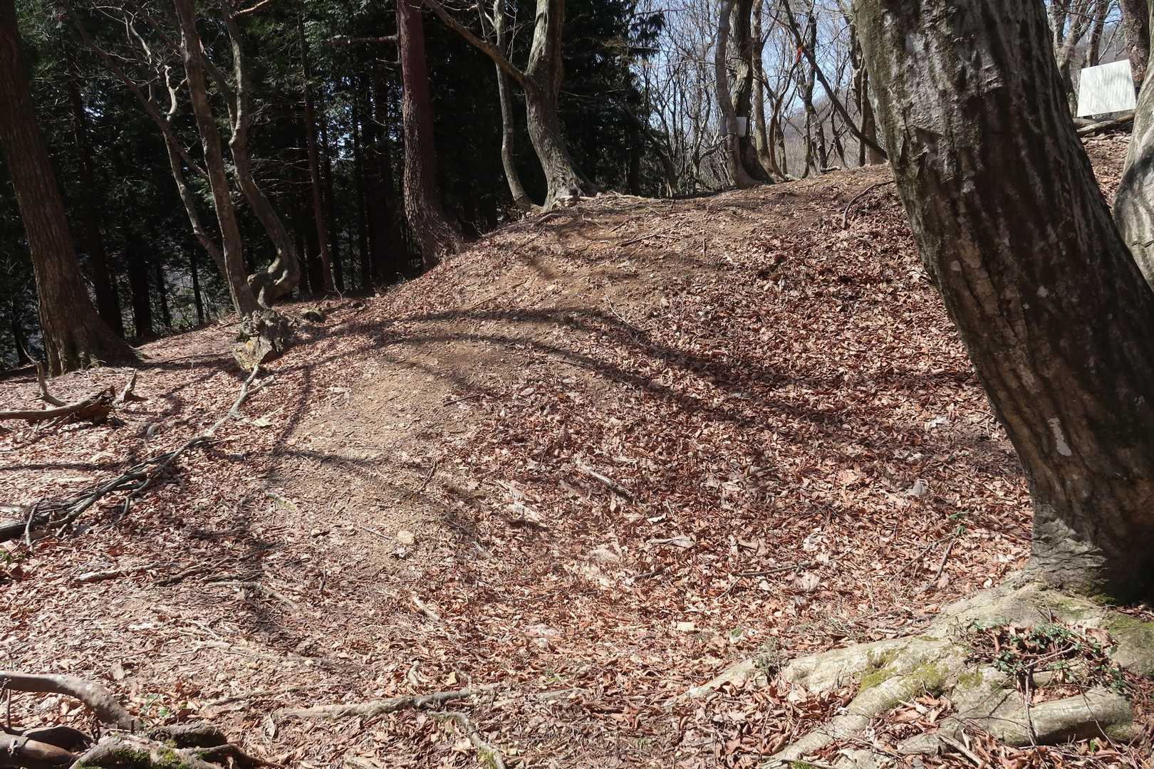 主郭の横堀