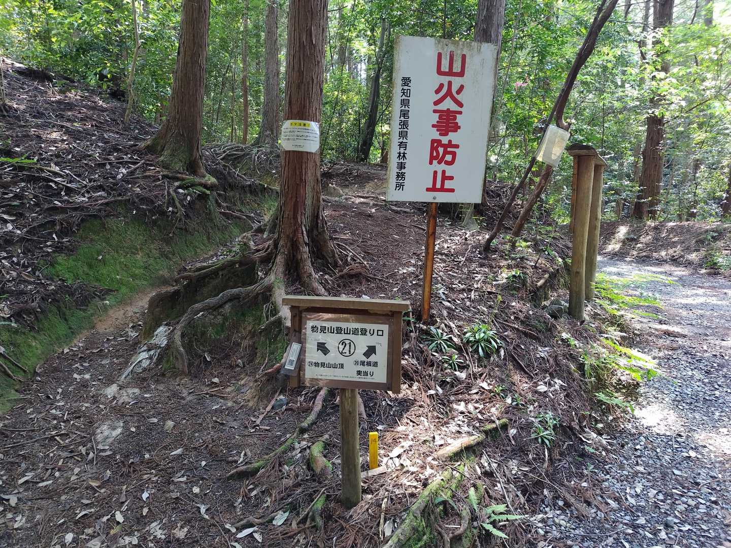 ここまで林道で、ここからやっと山道です⤴️