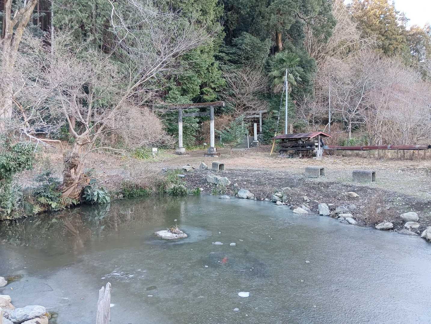 1ヶ月前に来た時よりも厚く氷が張っている🥶手のひらに力を込めて押してみたり、片足を載せてみたりしたけど、びくともしない😵結構厚いのかな!?
水の下の鯉たち、ほとんど動かないけれど、赤い子がちょっと動いた。ちゃんと生きているんだね🤗