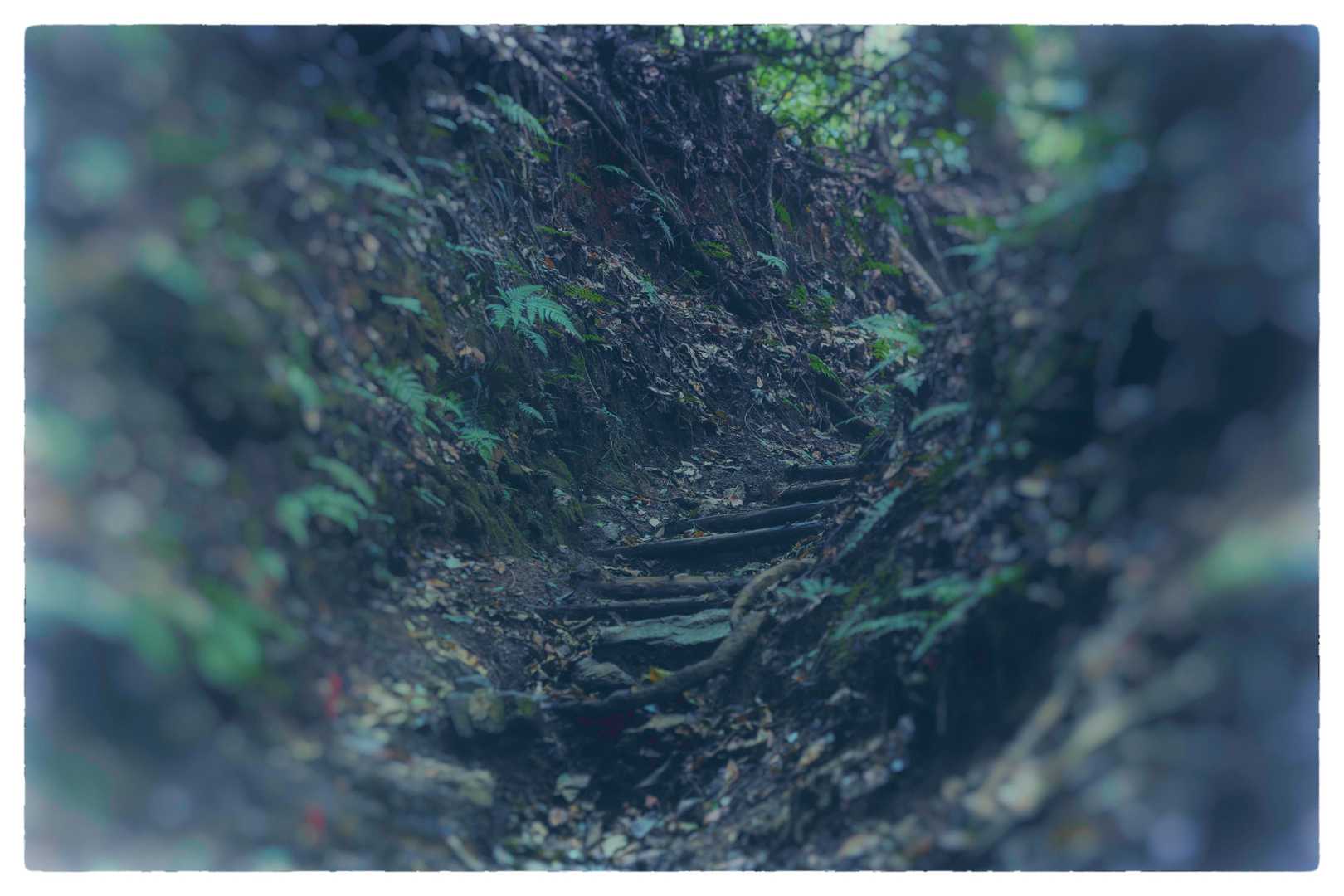 さむいー。