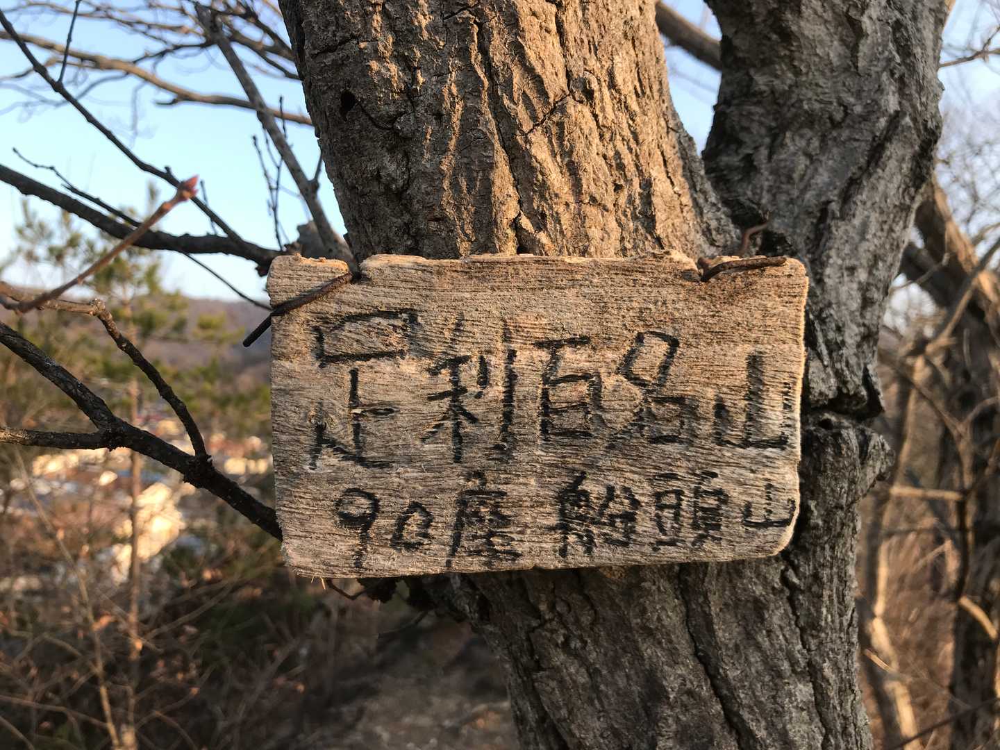 当日二座目の足利百名山第83座 中山山名版ＧＥＴ！