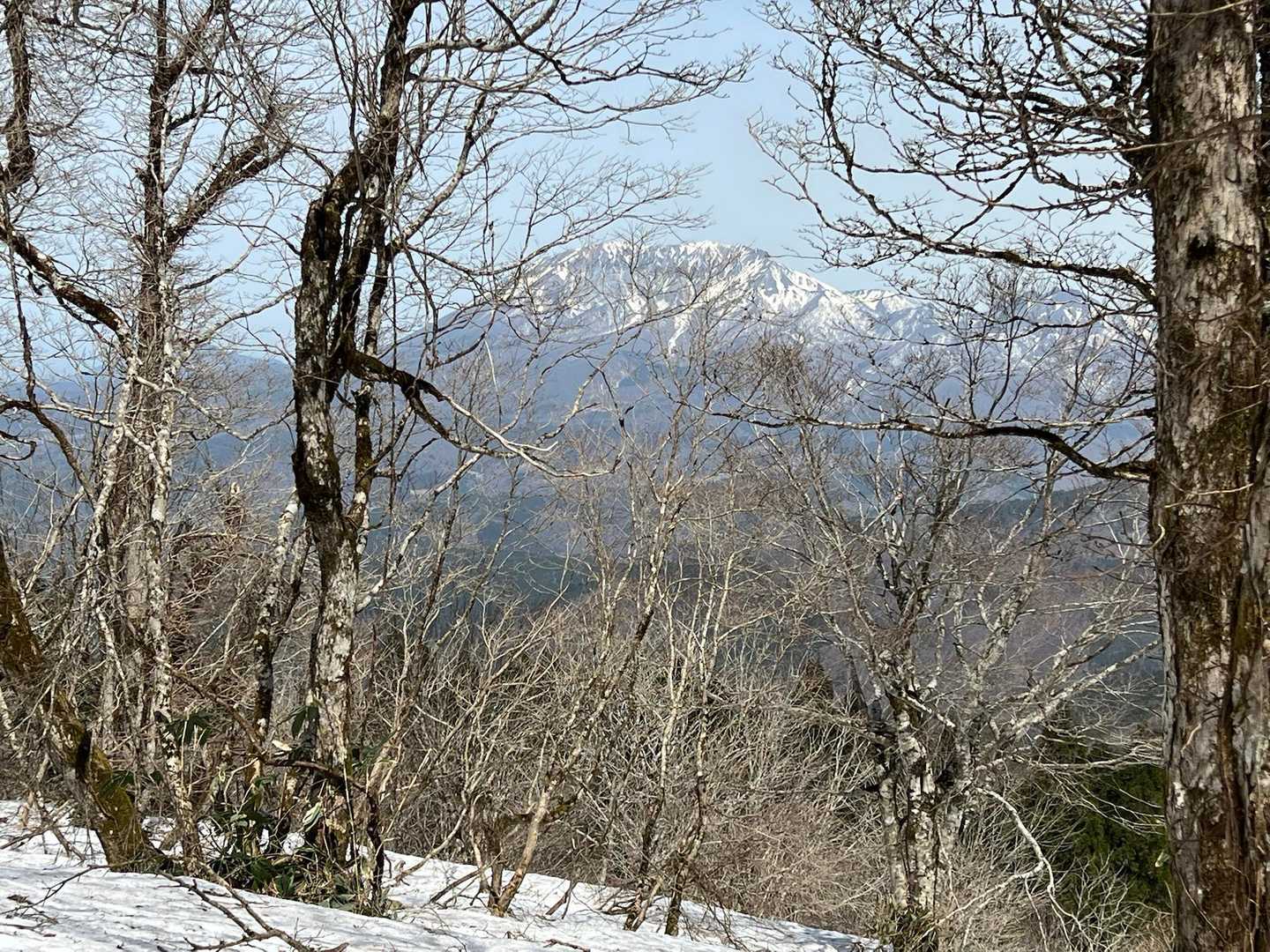木々の間から大山見える
お花を求めてたくさんの登山者さん
師匠のお知り合いのderaさんご夫妻とお会いして一緒に写真も撮ってもらいました♪