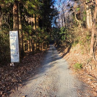 やっと登山道入口

しばらく林道です