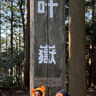 ラスト到着‼︎