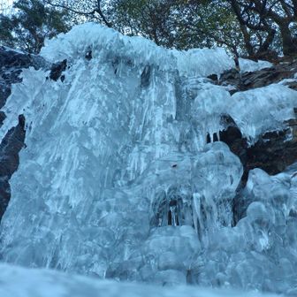 氷のシャンデリア✨️