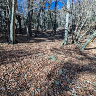 向かいのキャンプ場が登山口