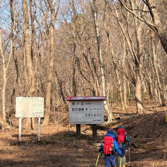 登山口には雪なし