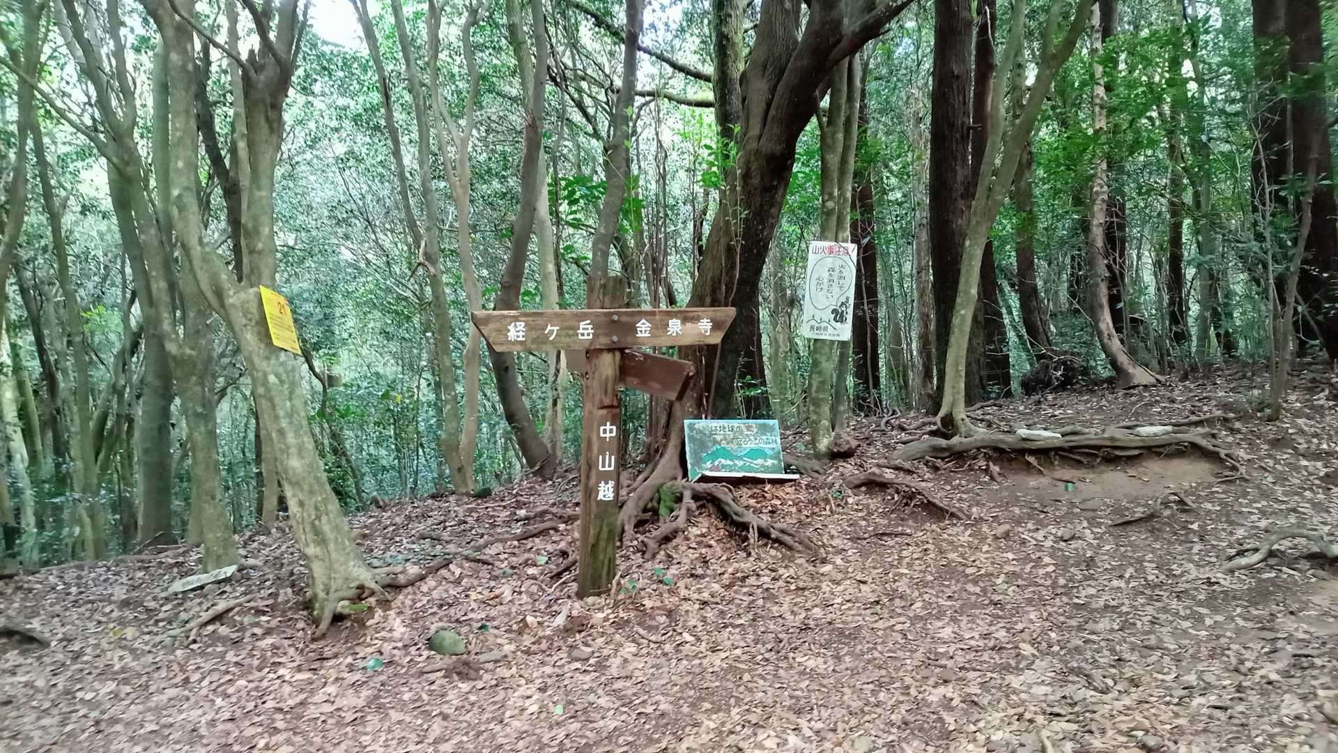 中山越に無事到着🙌
西野越へ向かおうと思ったけど、空気が生温く感じたので雨が降るかもと思い、予定変更してウナギテ沢経由で下山することに🤔