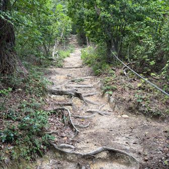登り500UPなめてました〜😂