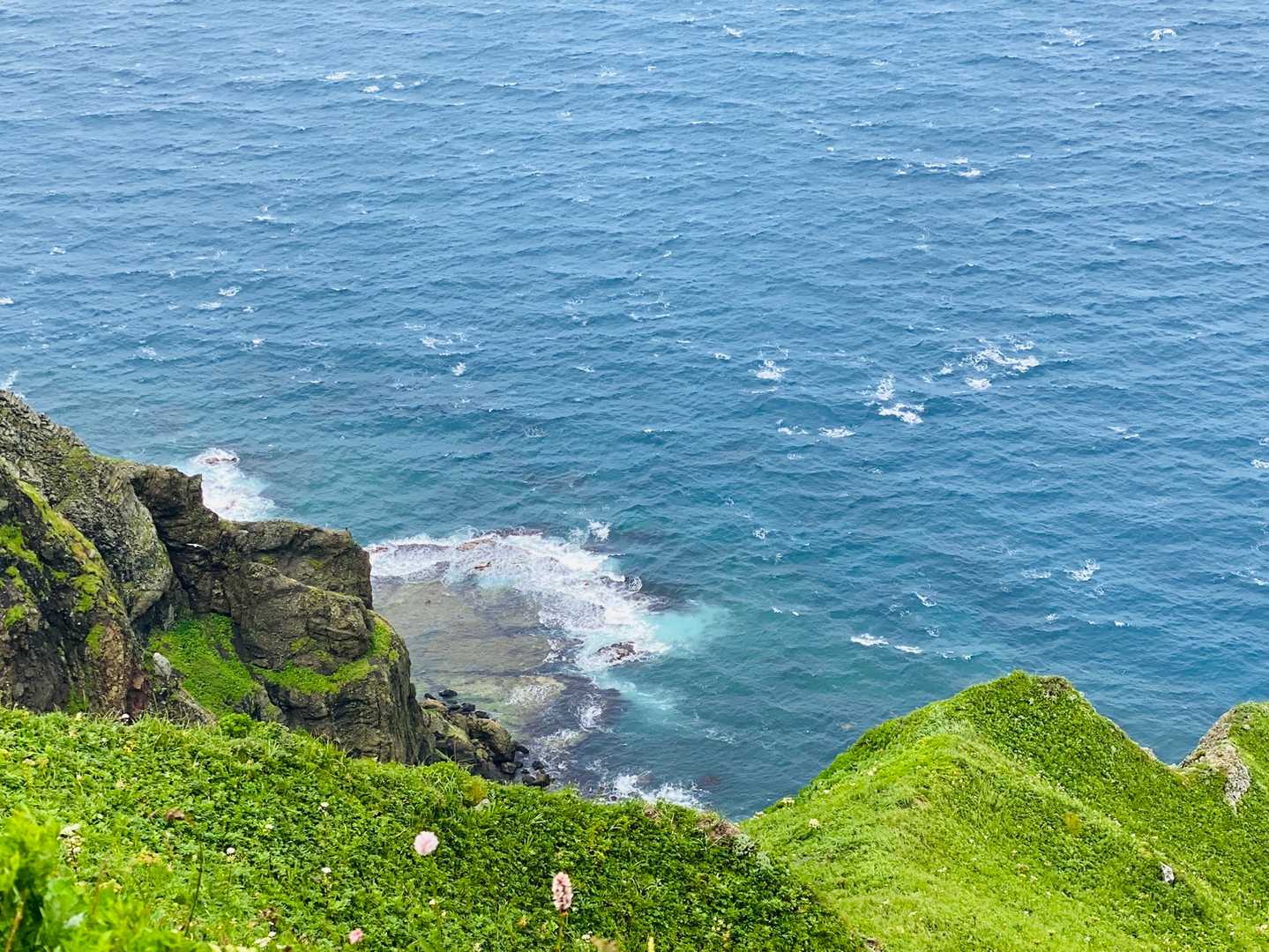 元地灯台-つばめ山-桃岩展望台登山口-礼香寺 縦走コースの写真