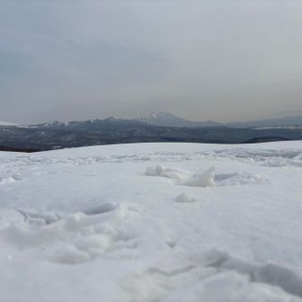 同じくメインのお山