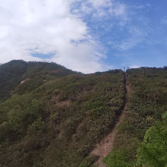 いよいよ山頂も見えてきました。