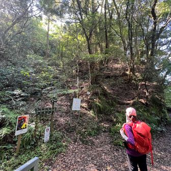 ひょうたん淵登山口から石炭山へ。