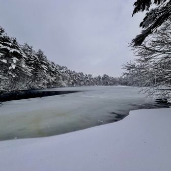 スライド2-30人。以外と多かった。
物産館→ビジターセンターまで行って周回、またはバス、相方と送迎もできれば楽かな。