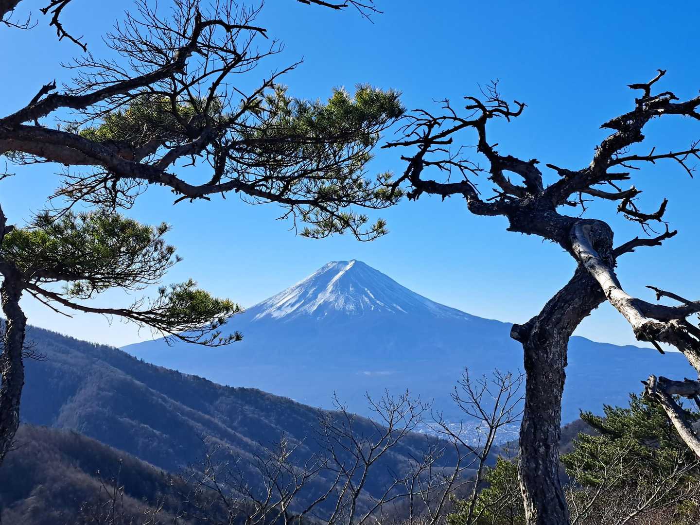 素晴らしい山頂