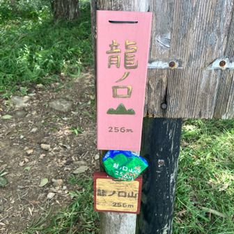 龍ノ口山⛰️山頂到着