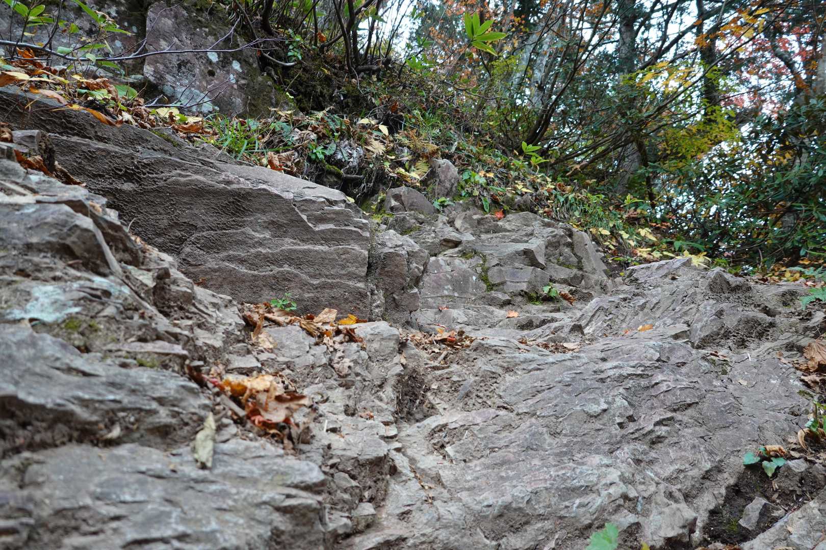 武尊山-剣ヶ峰山 周回コースの写真