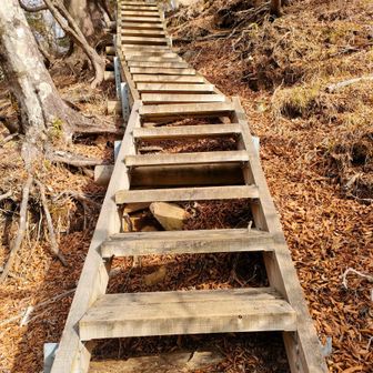 また階段です💦