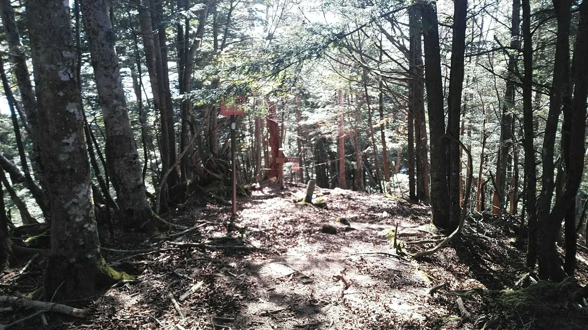 芋ノ木ドッケの写真