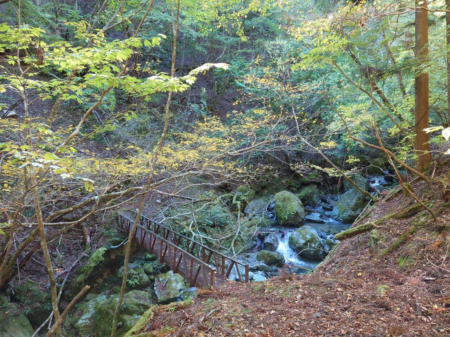 ちょっとルート外れたけど一人じゃなければ気付くのも早い
指摘ありがとー😆