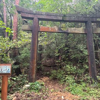 こんな鳥居も