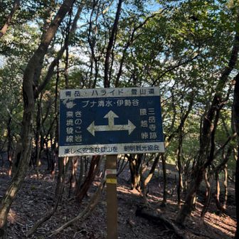 ここは、ブナ清水方面へ進む。