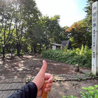 ただいまー。

山頂広場に到達。
６年ぶりに登った此の入沢コースは新鮮でございました＾＾

湿度はお高めでしたが、曇りで風も吹いていたので夏登山にしては楽でした。毎回こうだといいんですけどね。


というワケで此の入沢コース紹介、いかがだったでしょうか(・∀・)

８月になれば林道沿いにキツネノカミソリが沢山咲いていると思うので、未踏の方は８月にぜひどうぞ☆

林道で作業されてるオジさんを見かけるかもしれませんが、その方が此の入沢コースを管理されてる方ですので、感謝を込めて元気に「こんにちは！」と挨拶されてくださいね(^ −)−☆