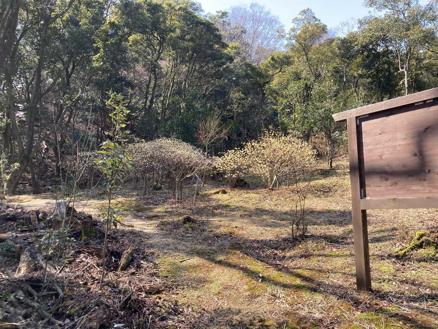 菰野富士 往復コースの写真