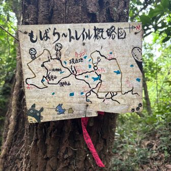 わかりやすい