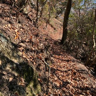落ち葉に埋もれた登山道