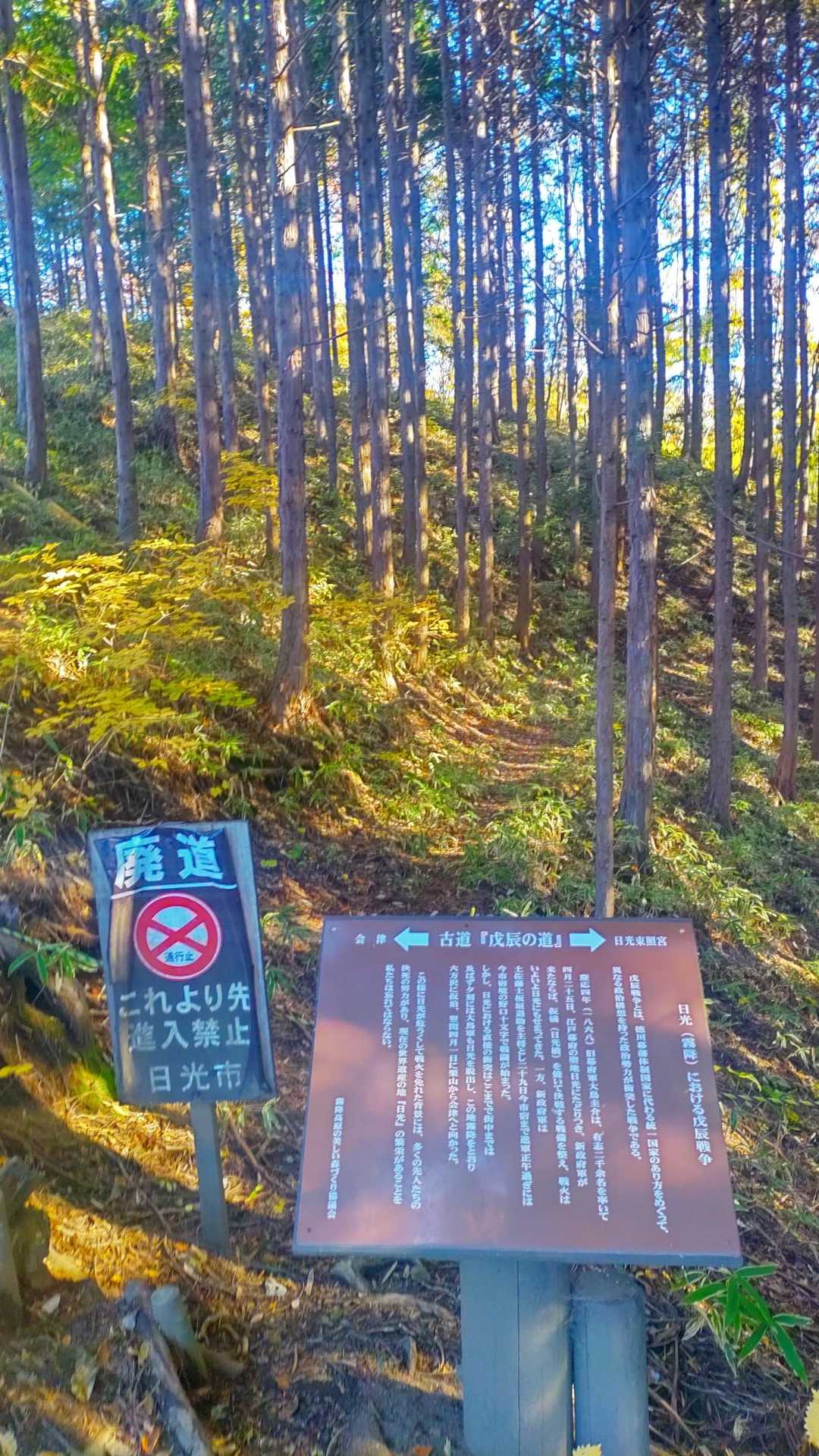 こちらは廃道、進入禁止❎