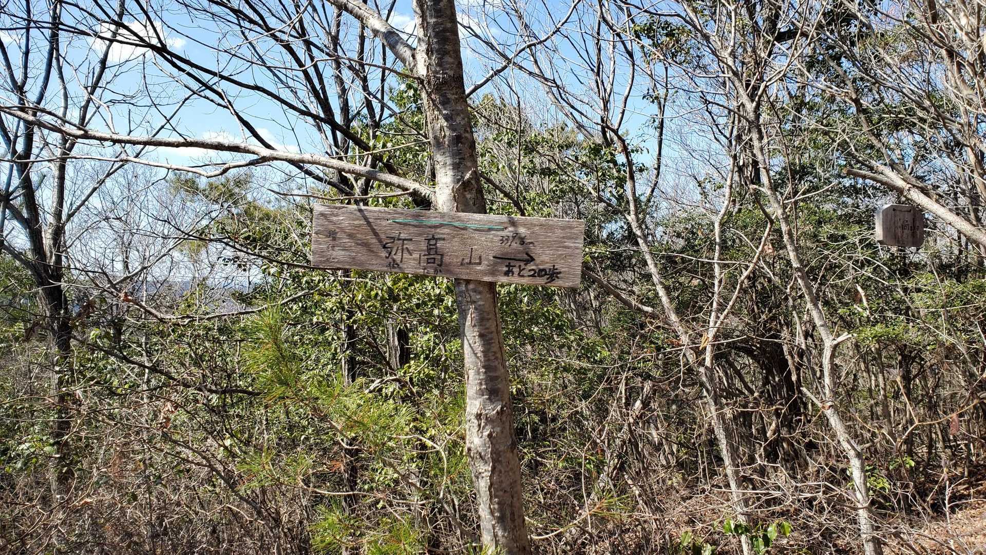 弥高山到着と思って写真撮ったら
あと20歩でした🤣
