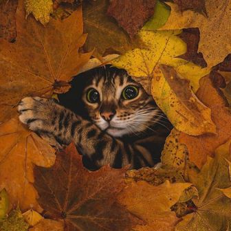 キャンディー🍭🍭