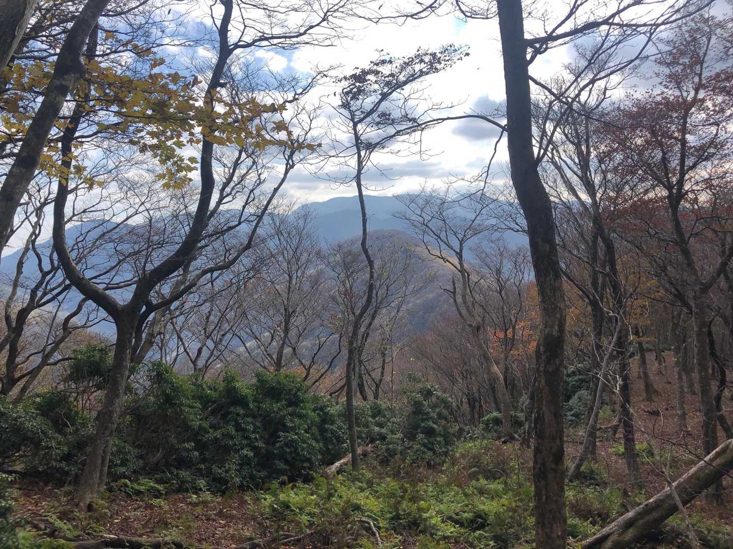 さっきの高塚山が見えます