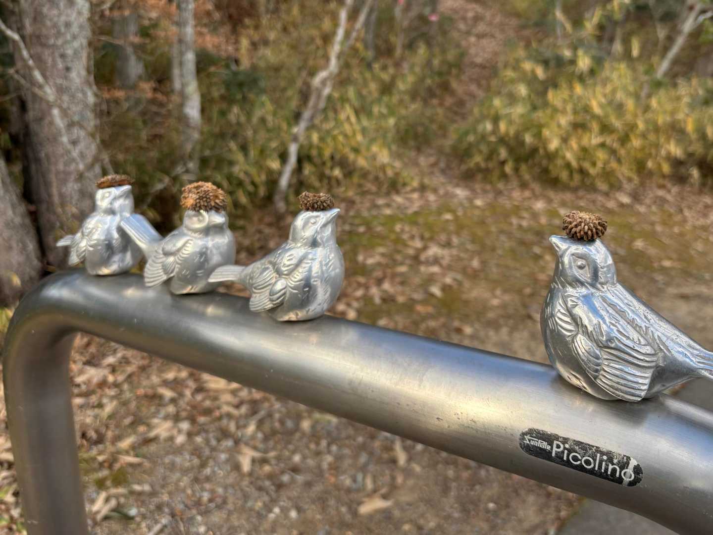 メジロなどたくさんの小鳥を観察👀動きが速い速い！📷に収まるのは固い🐧。
