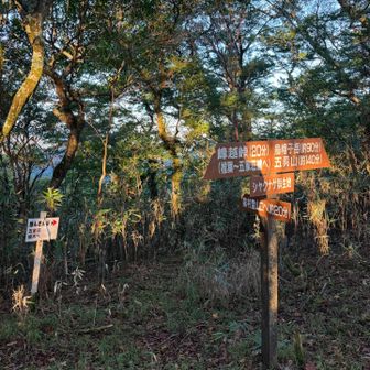 椎葉越。別の登山道が合流。
この辺りは緩やかなアップダウンで歩き易い。
