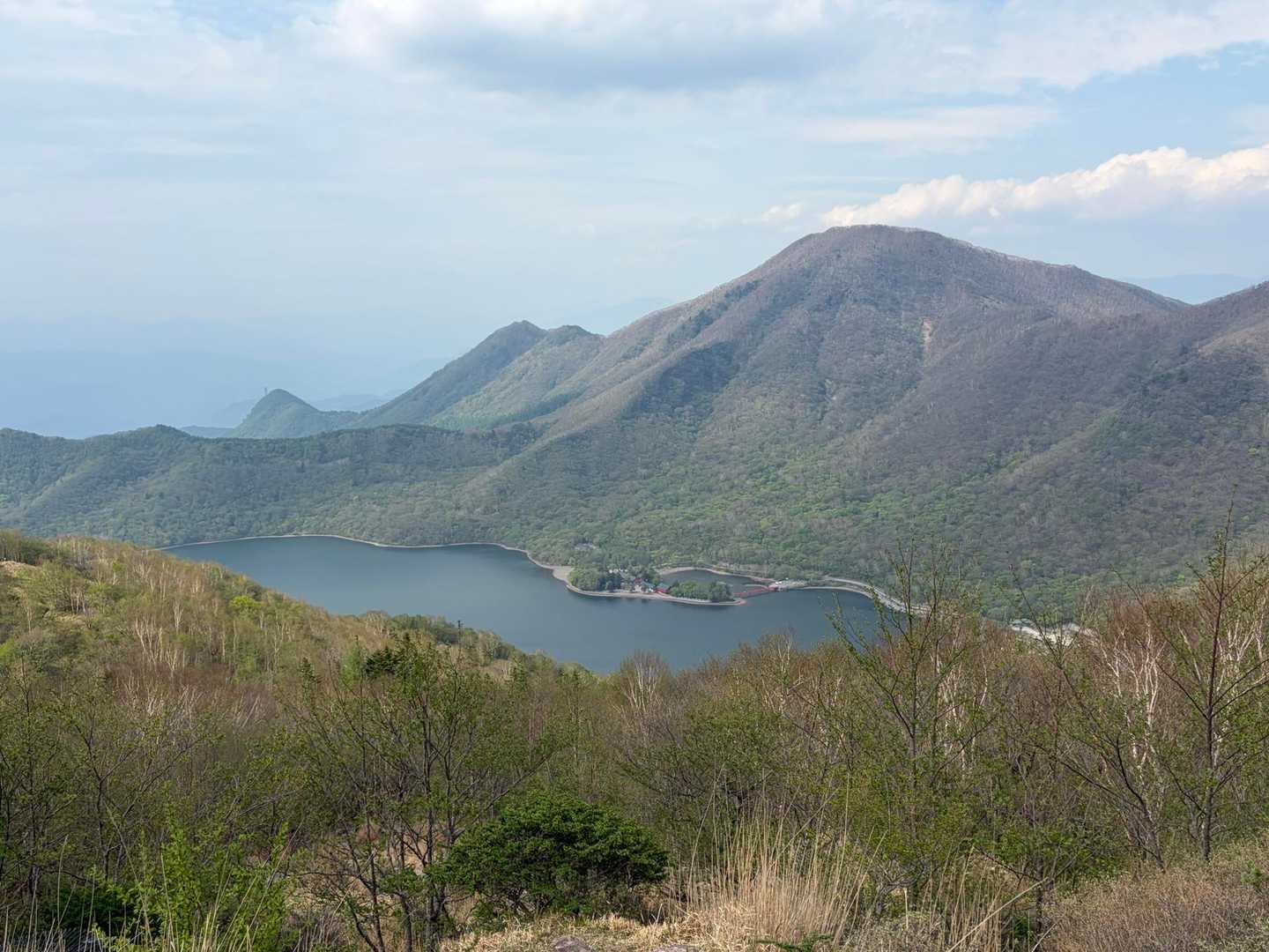 大沼