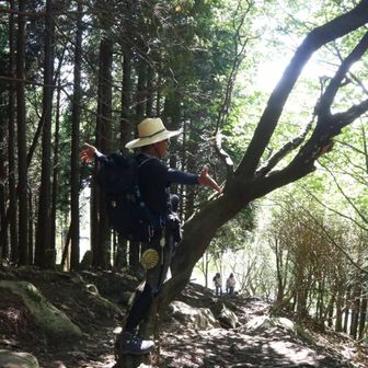 下山も…こんな木🌴があったらやるよね😎(痛いオッサン)
もぉ変態🟦丸出し…若者お二人…アチき😎の事軽蔑しないでね😂