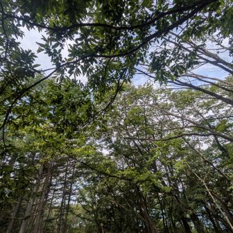 百蔵山へ向かいます。