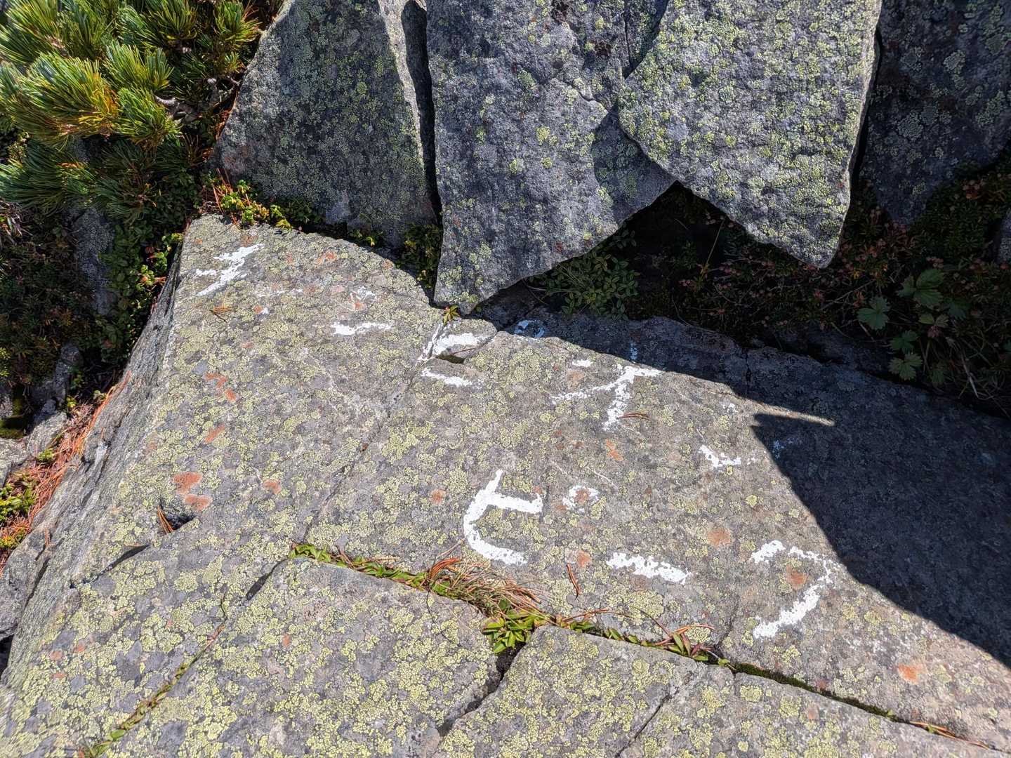 ここにあったのか、チャンピオンピークの文字（笑）
山頂でお話しさせていただいた方に場所聞きました。