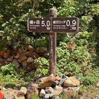 あと5km、上ります。
