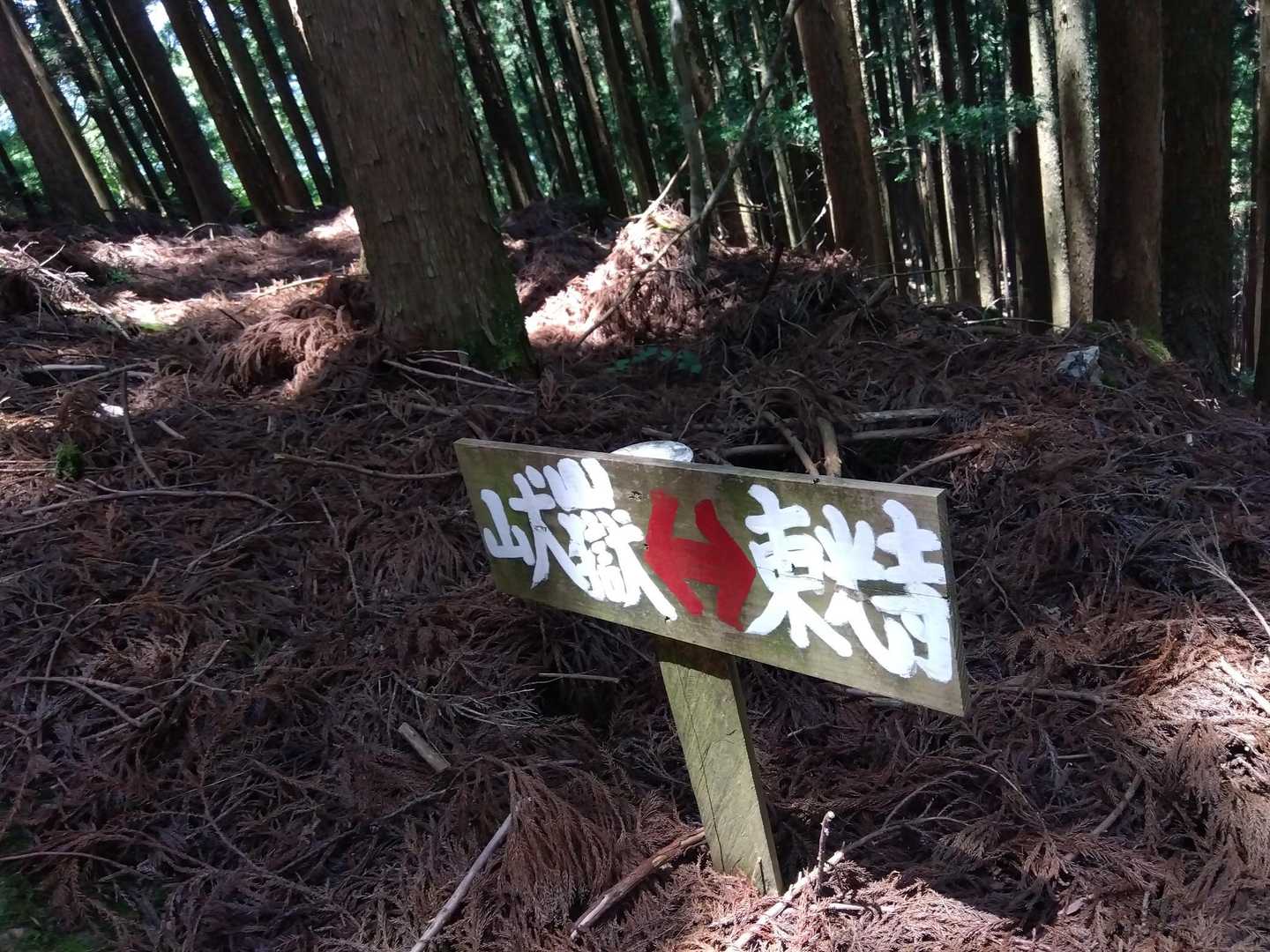 はいはい、進みます