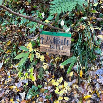 八幡山登山口⛰️   この看板分かりにくい