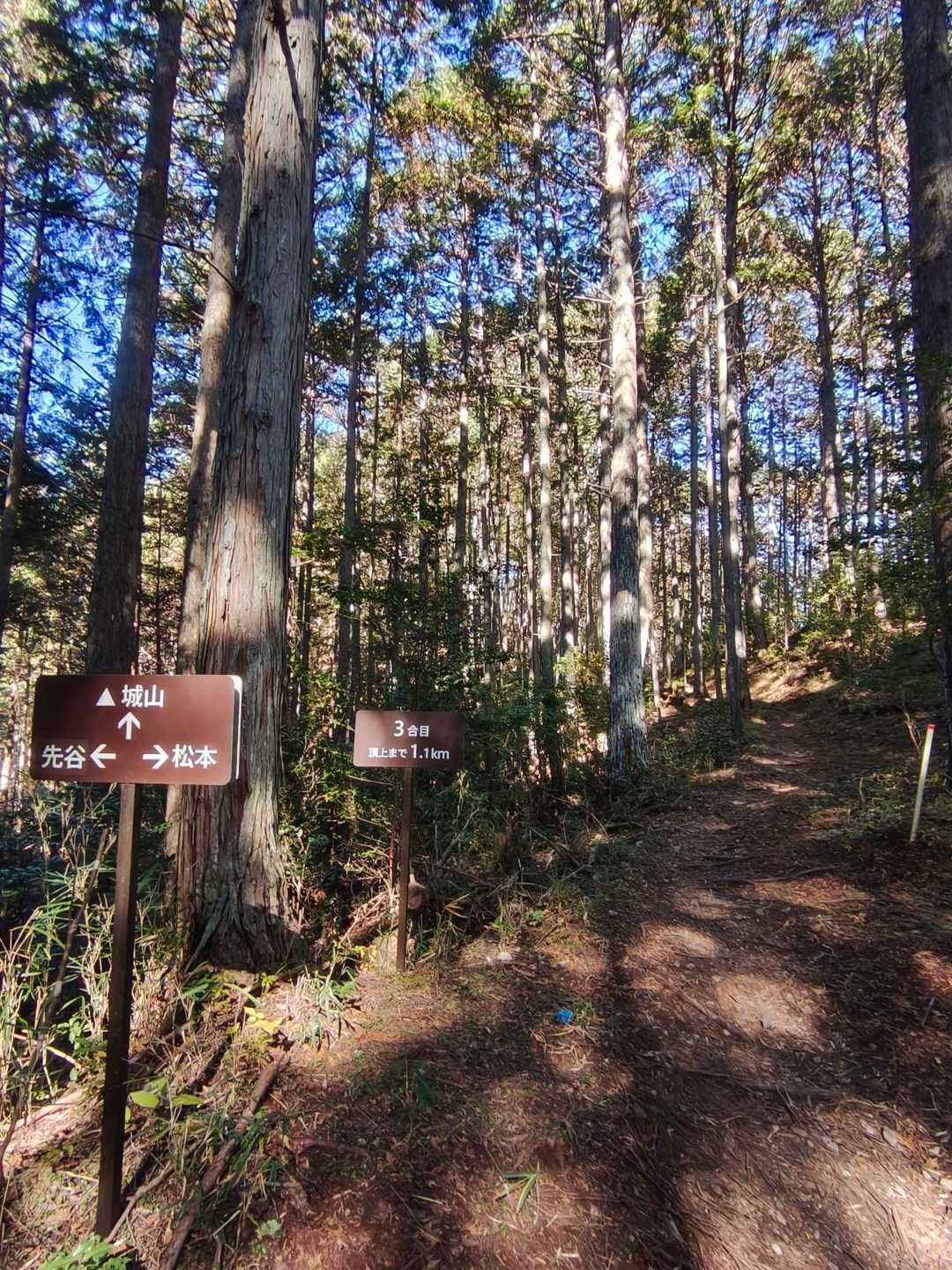 分岐
