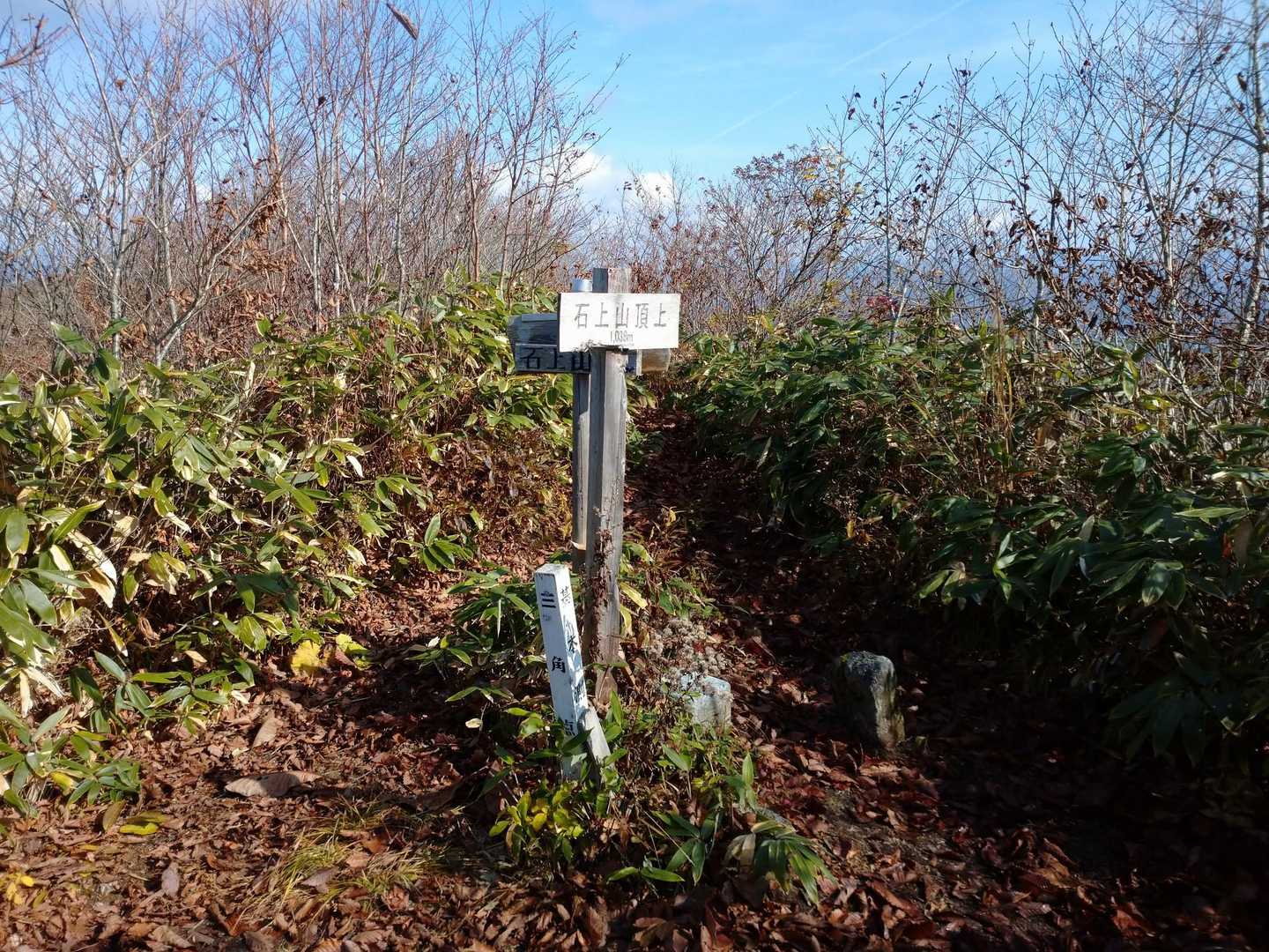 戻ります
下山の途中、山をやっていると聞いていた職場の同僚と山で初めて遭遇。普段見せることのないようなイキイキと輝いた満面の笑顔を見ることができて、とても幸せな気分となりました😊