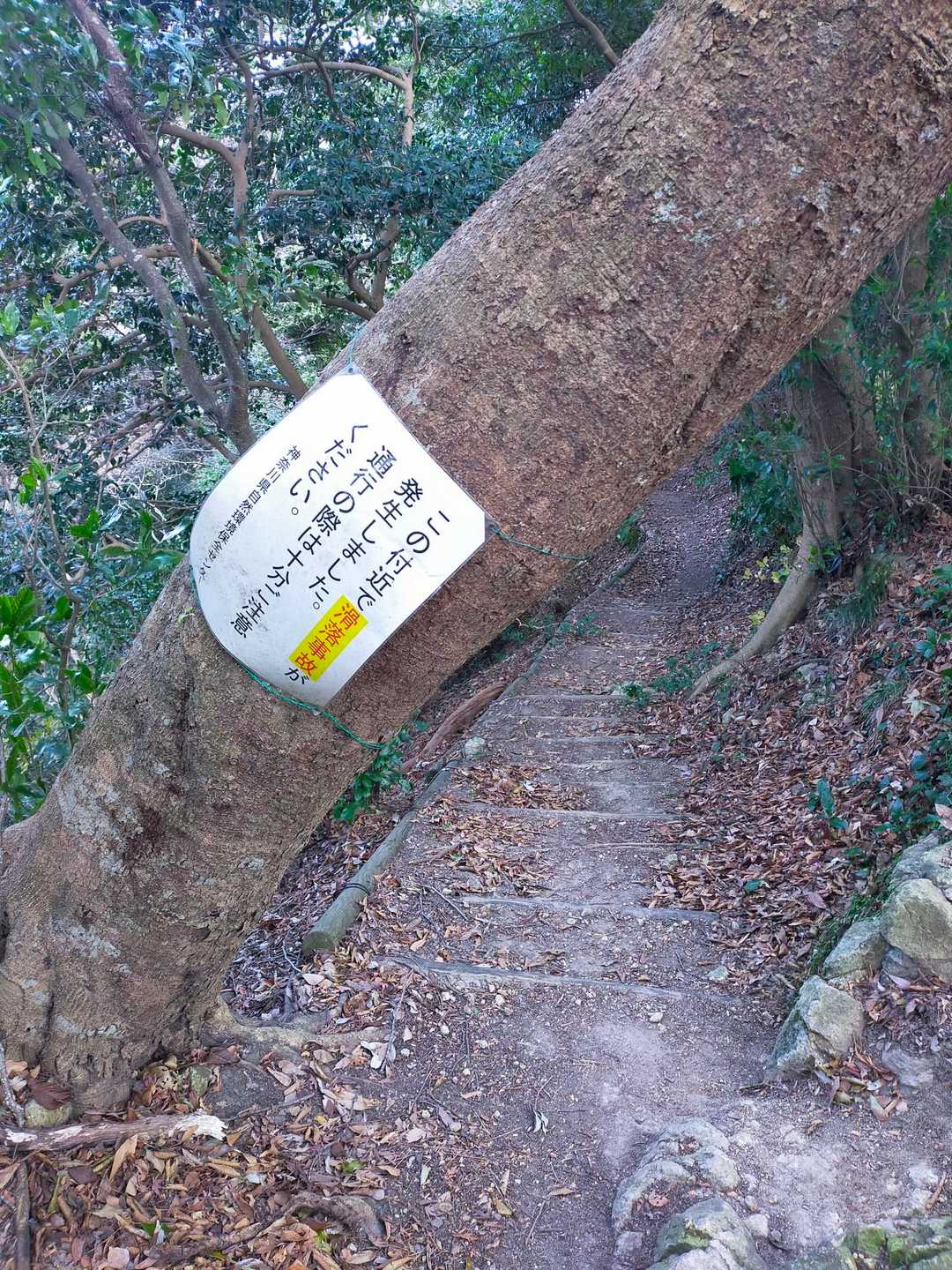 ここから岩場と細トラバース開始