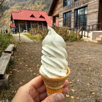 さるなしソフトクリーム🍦