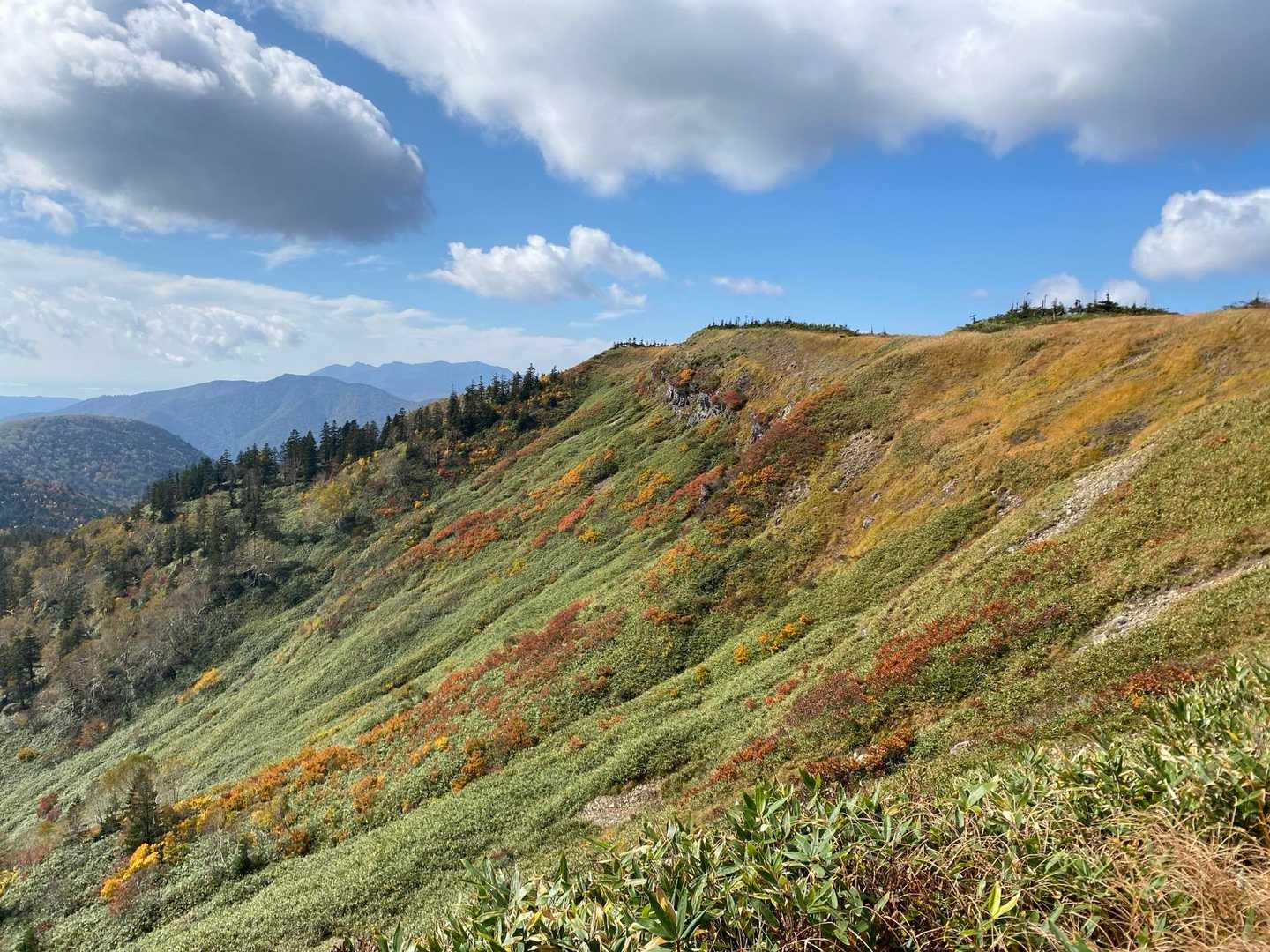 実はアヤメ平は標高が1900m近くある。
カール地形？の谷からの紅葉が見応えがあった。
奥に見えるのは赤城山(たぶん)