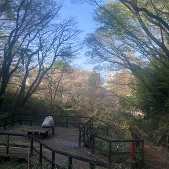 登山口～飯室山間の休憩スポット